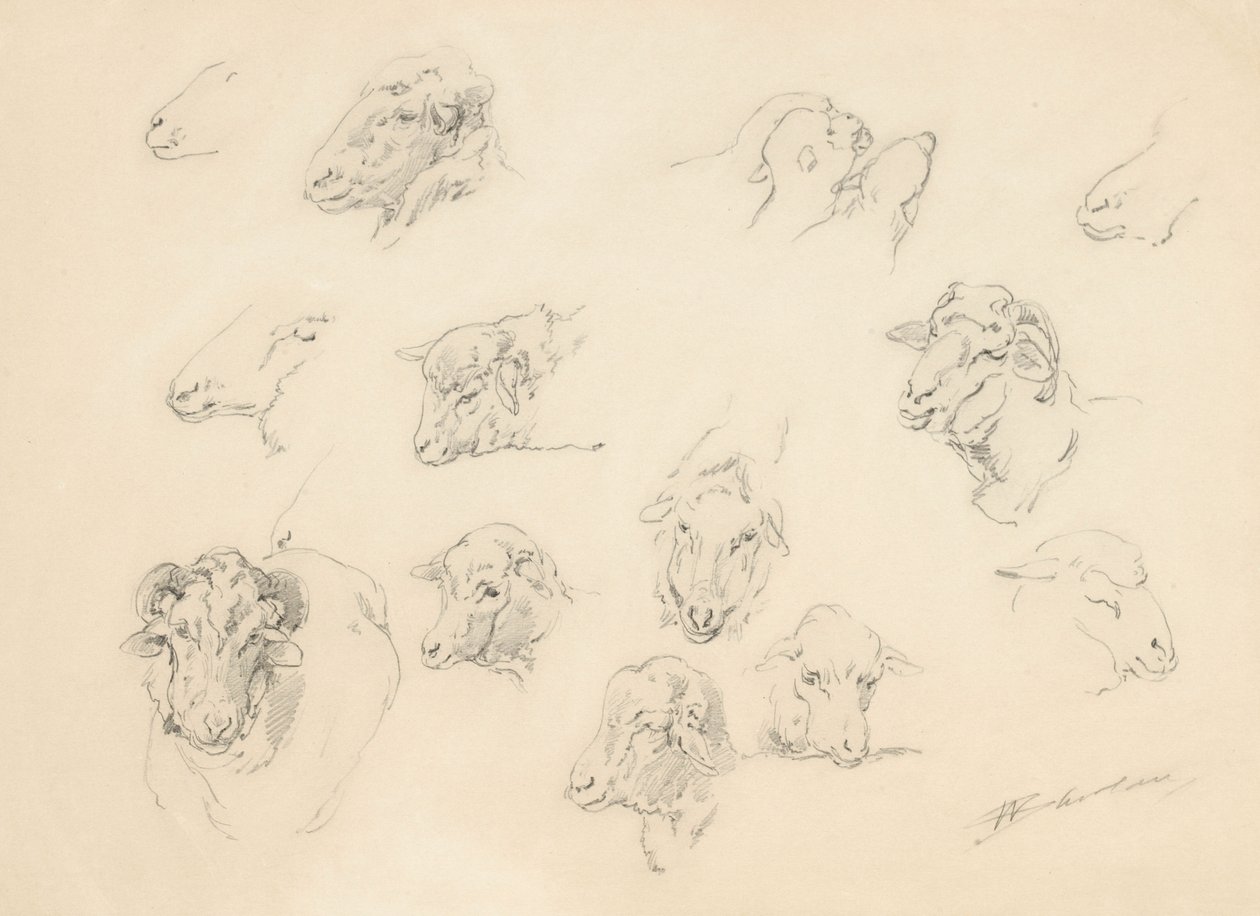 Studie av fårhuvuden, 1877 (grafit på buffvävt papper) av Walter Shirlaw