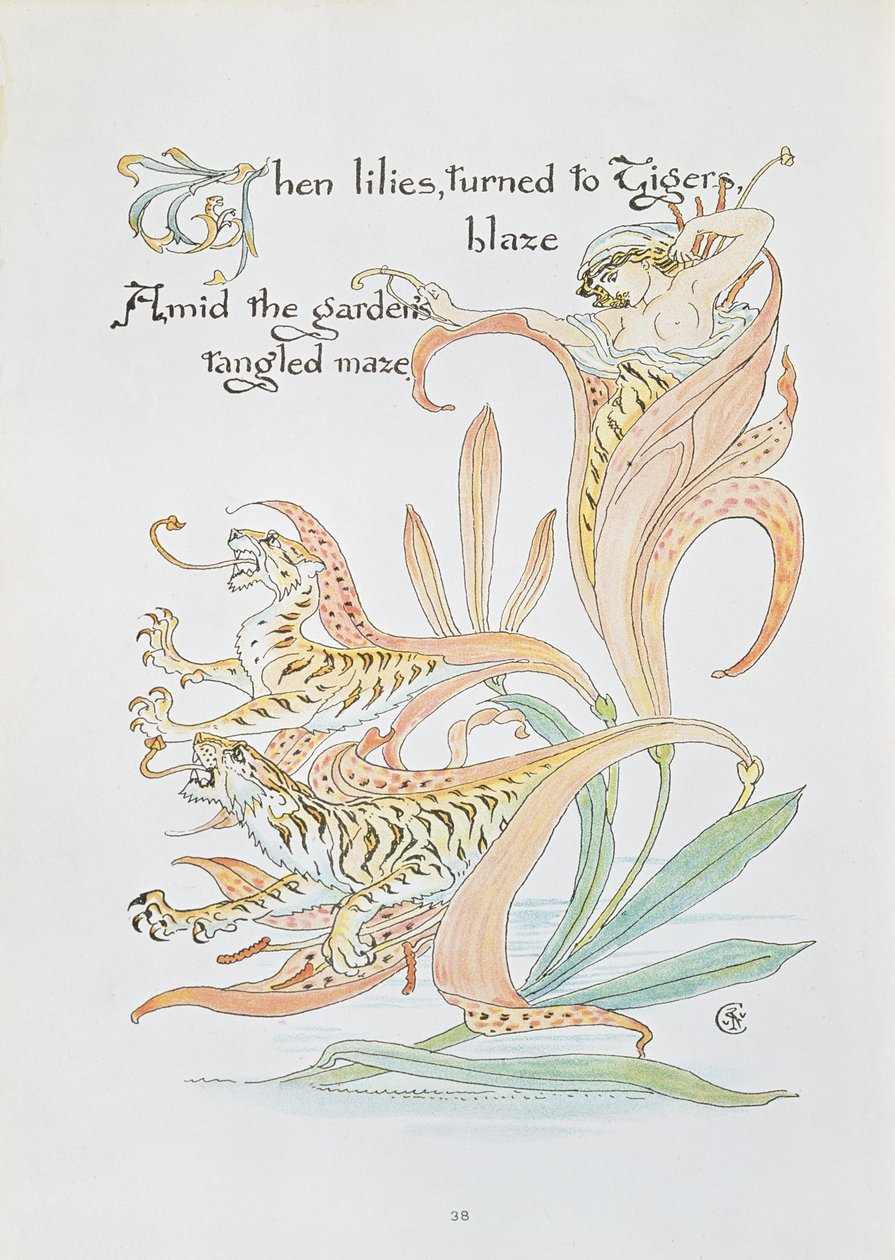 "När liljor vände sig till Tiger Blaze", illustration till "Flora
