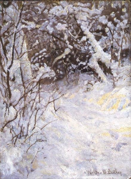 Snö av Walter D. Batley