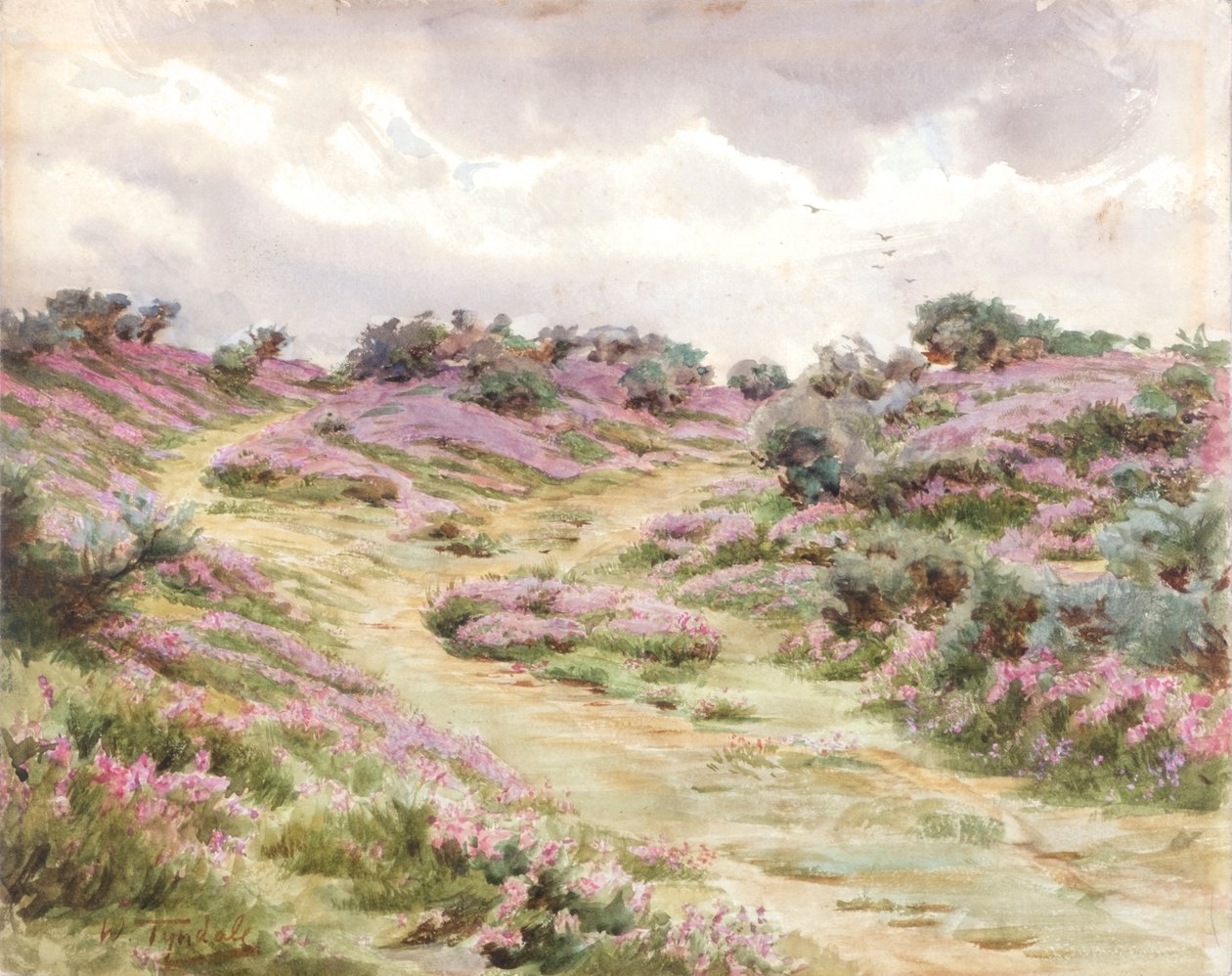 Bell Heather på Setley Plain (akvarell) av Walter Frederick Roofe Tyndale