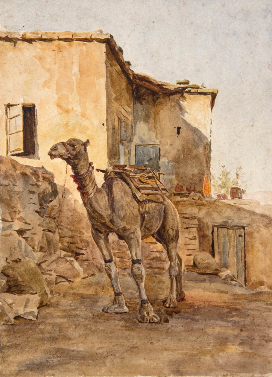 Uppbunden kamel (akvarell) av Walter Frederick Roofe Tyndale