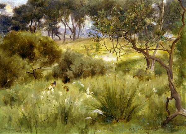 A Wood i Redesdale av Walter John James