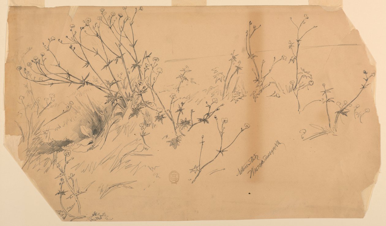 Naturstudie av Walter Shirlaw