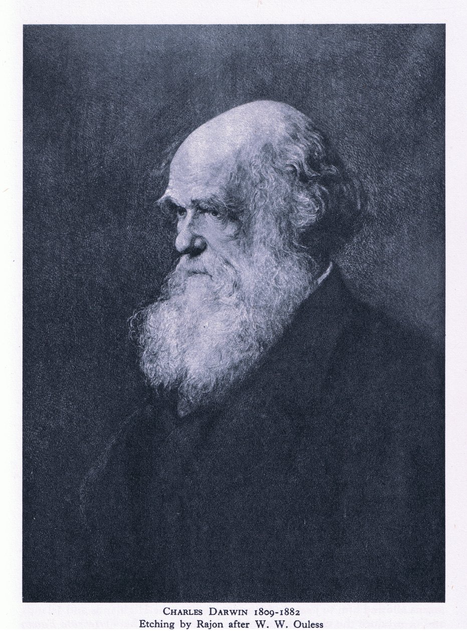 Etsning av Charles Darwin, Nature in Britain publicerad av Collins av Walter William (after) Ouless