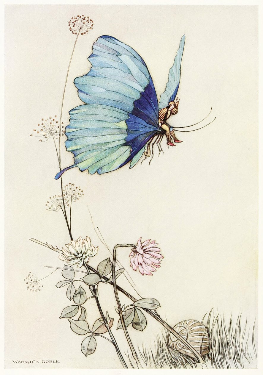 Fjärilen tog vingen och sattes upp i luften med lille Tom på ryggen, från The Fairy Book, pub. 1913 av Warwick Goble