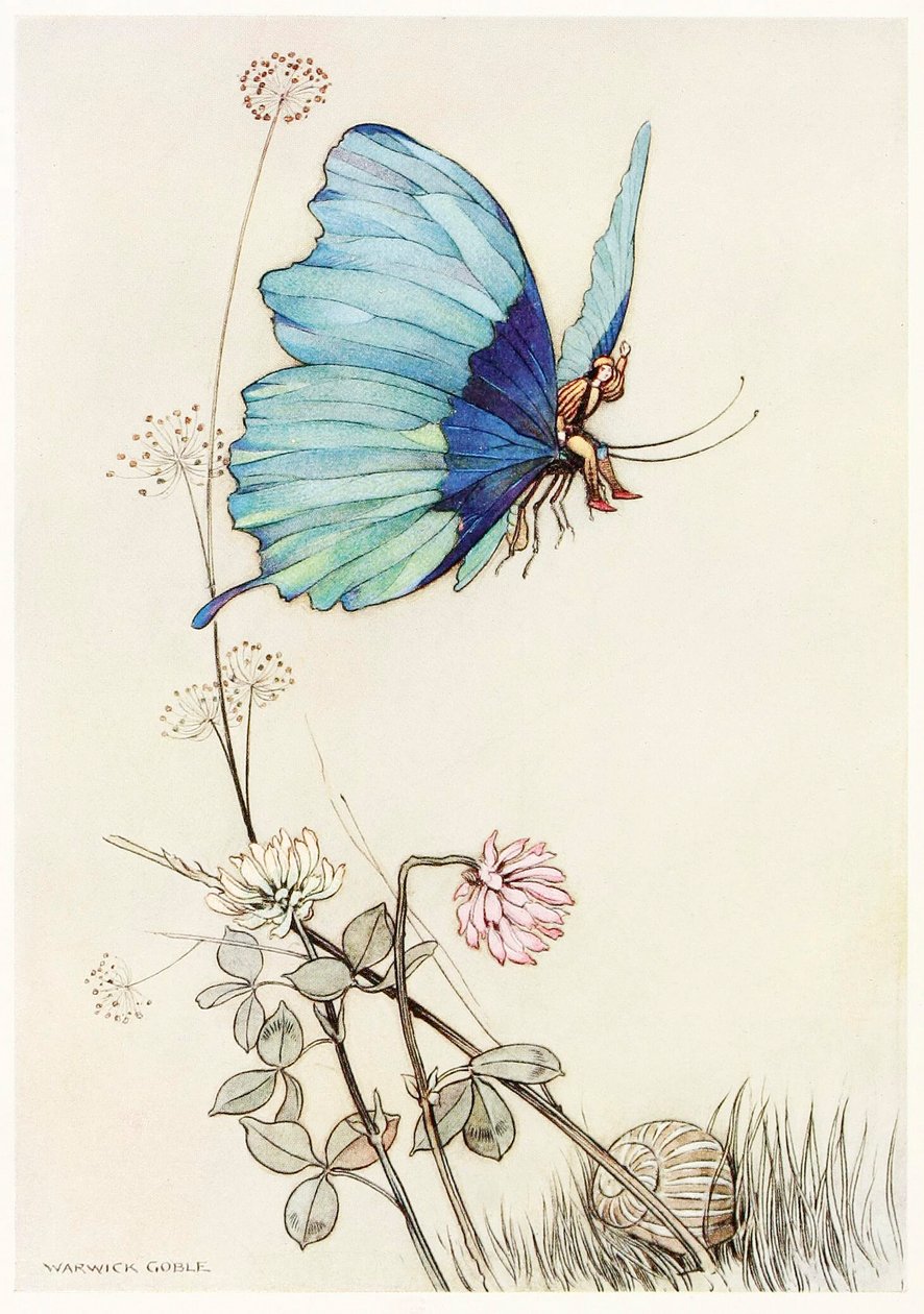 Fjärilen tog vingen och sattes upp i luften med lille Tom på ryggen, från The Fairy Book,1 av Warwick Goble
