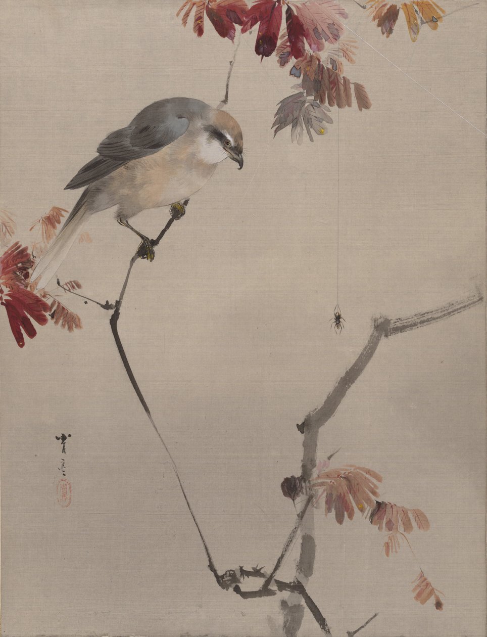 Fågel på gren tittar på spindel, ca. 1887. av Watanabe Seitei