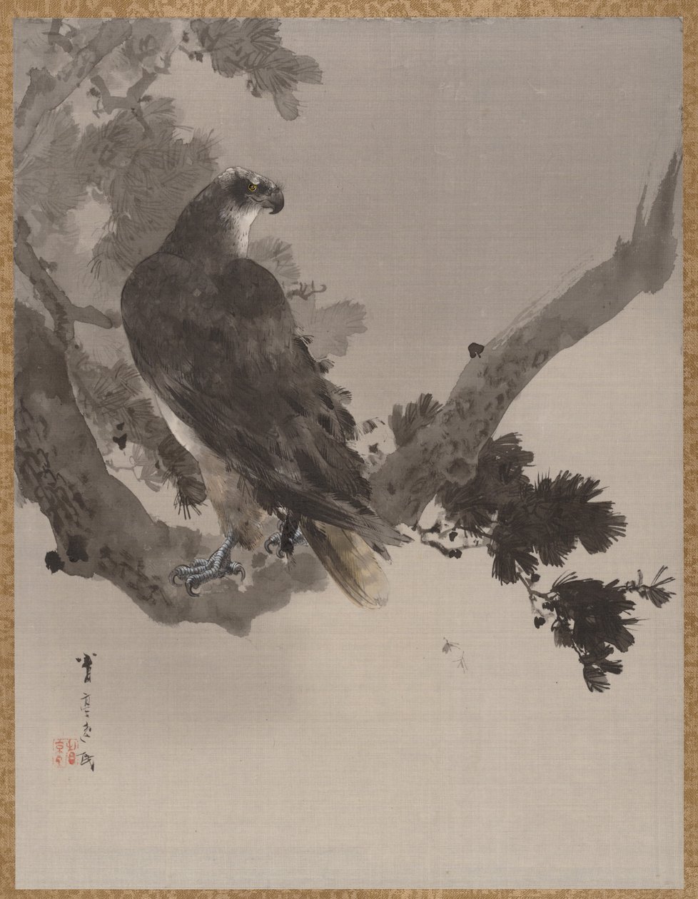 Örn i ett träd, ca. 1887. av Watanabe Seitei