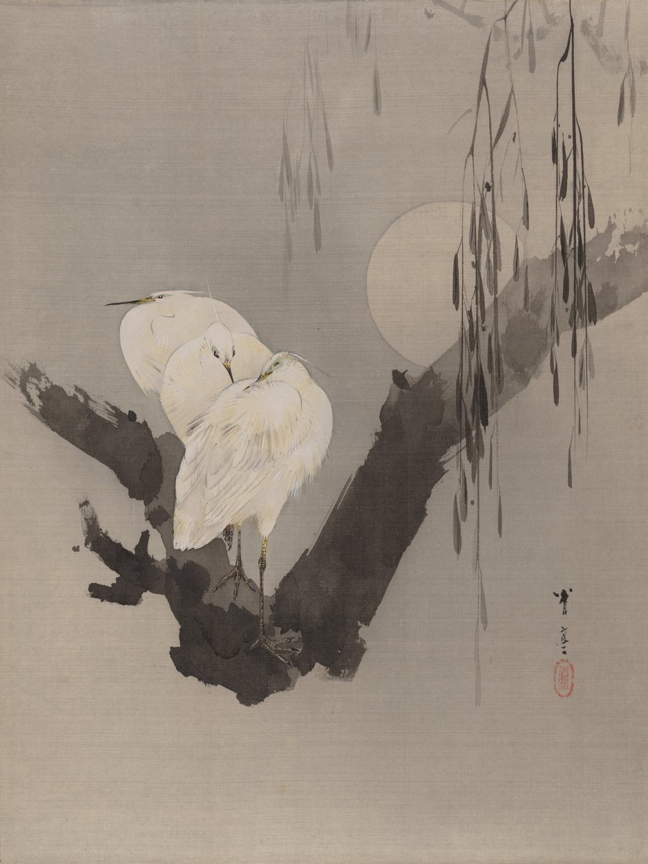 Egrets i ett träd på natten, ca. 1887. av Watanabe Seitei