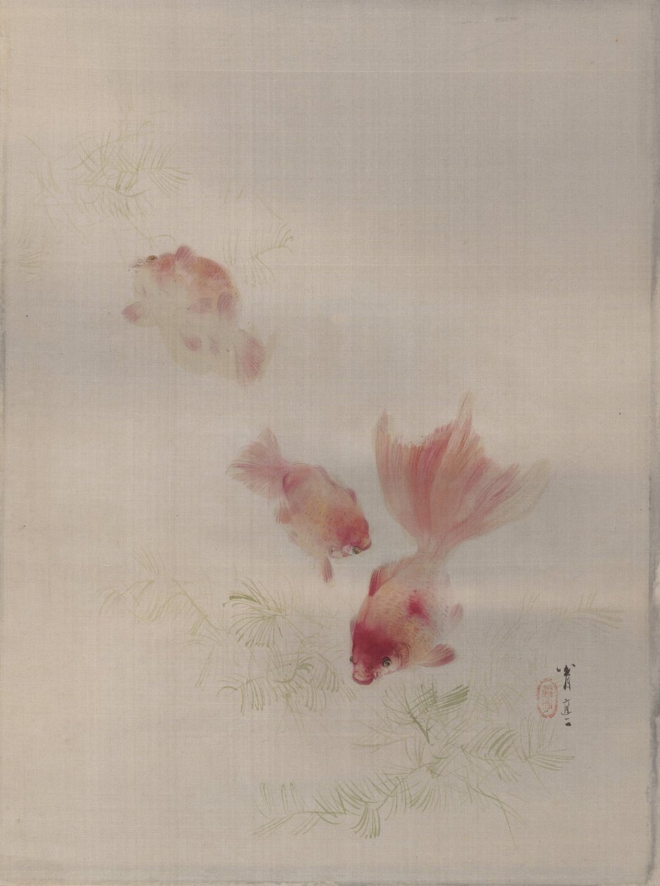 Guldfisk, ca. 1887. av Watanabe Seitei