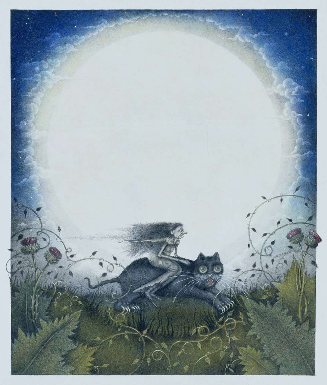 Scottish Witch on a Black Cat (blyerts och färgkrita på papper) av Wayne Anderson