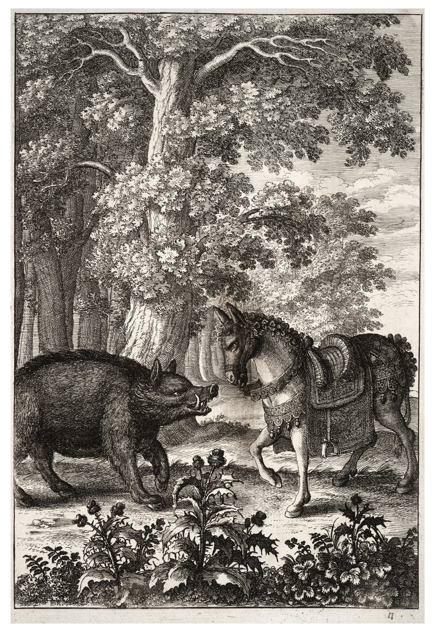 Boar and ass av Wenceslaus Hollar