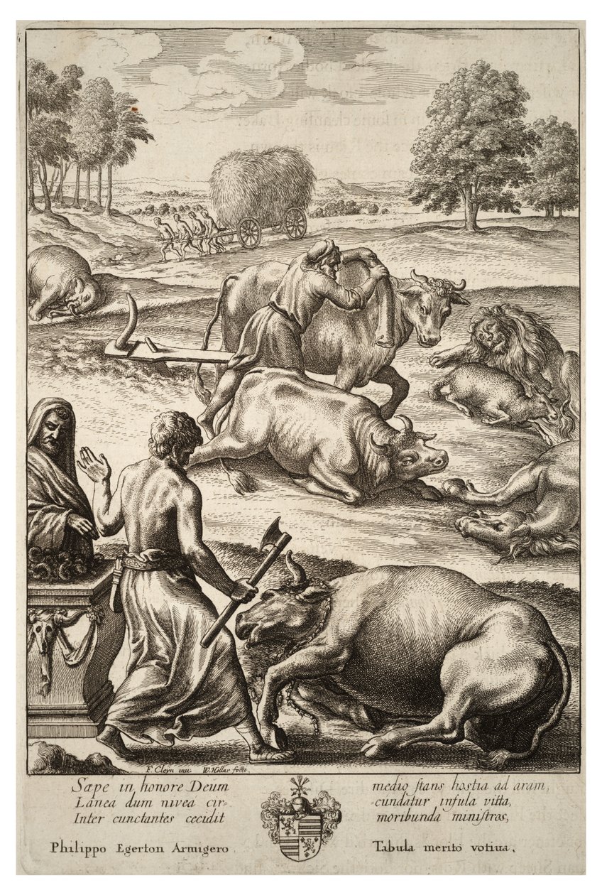 Cattle plague. State 2 av Wenceslaus Hollar