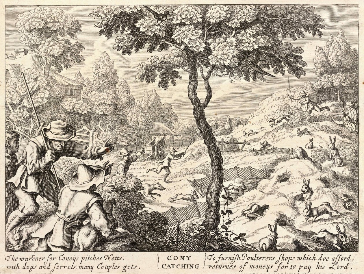 Coney catching av Wenceslaus Hollar