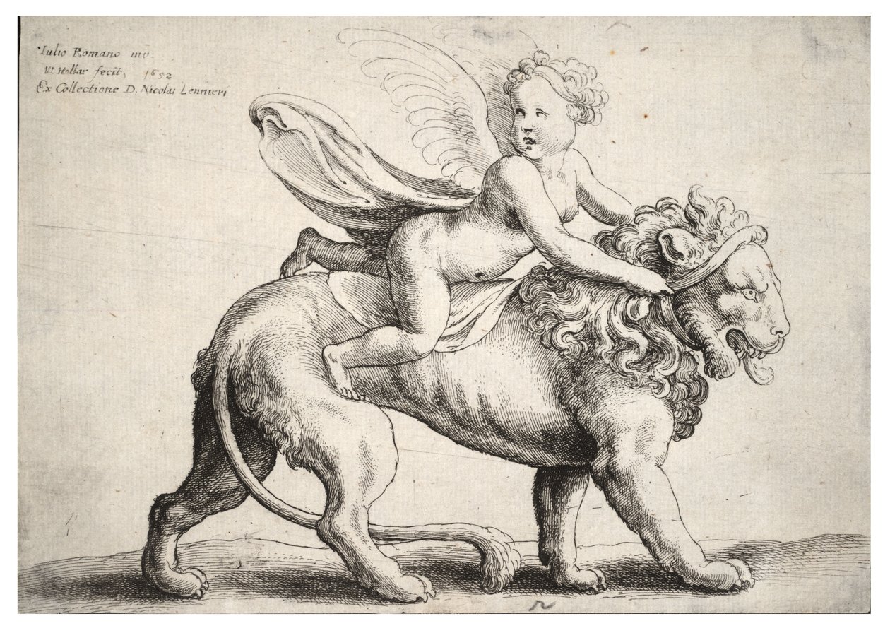 Cupid on a lion, after Giulio Romano av Wenceslaus Hollar
