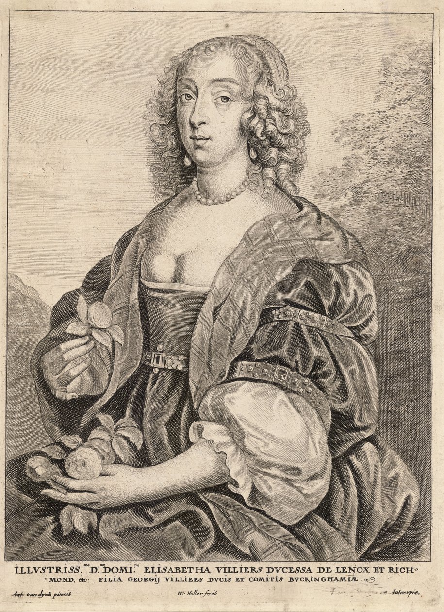 Duchess of Lennox, after van Dyck. State 5 av Wenceslaus Hollar