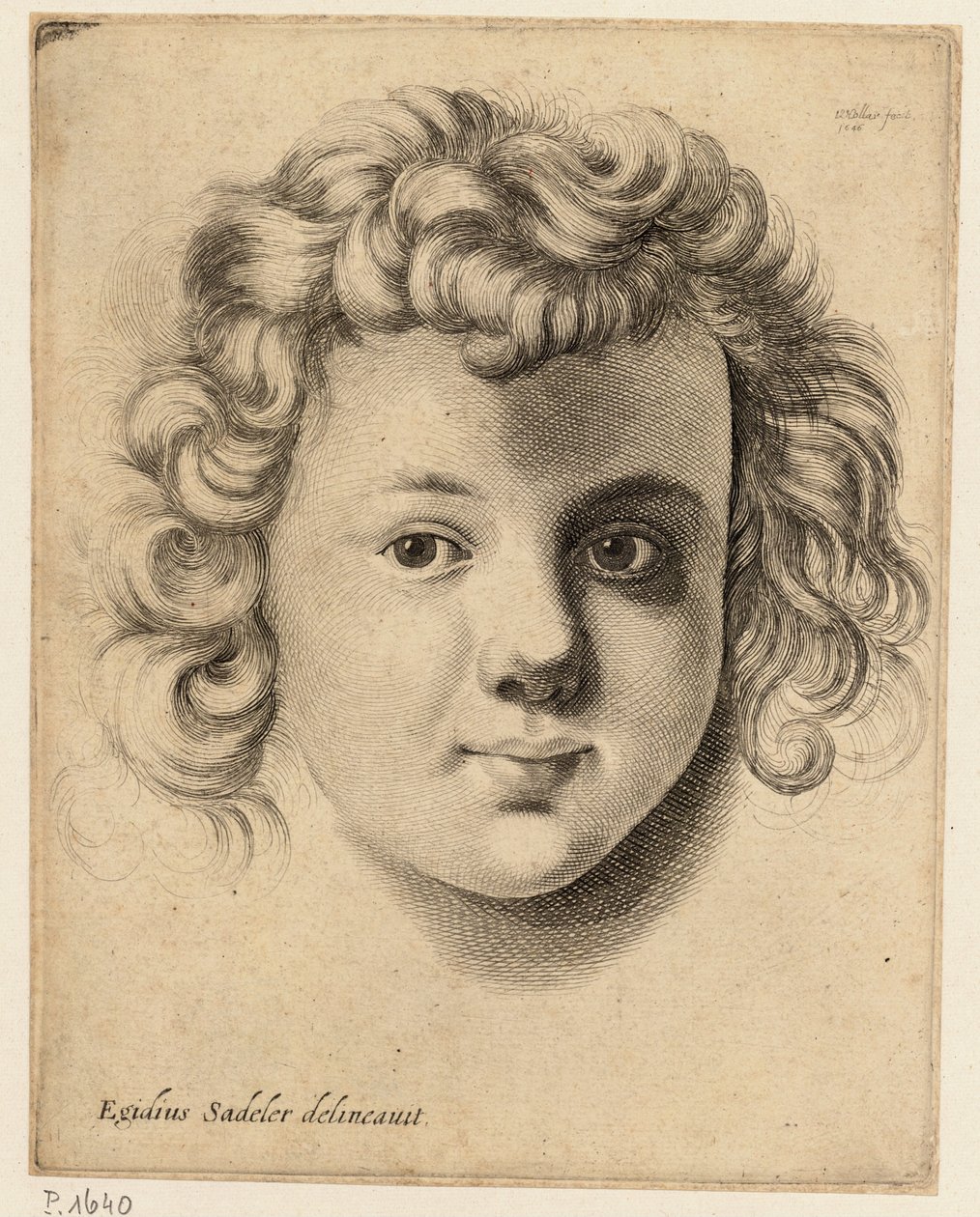 Head of a child, after Sadeler av Wenceslaus Hollar