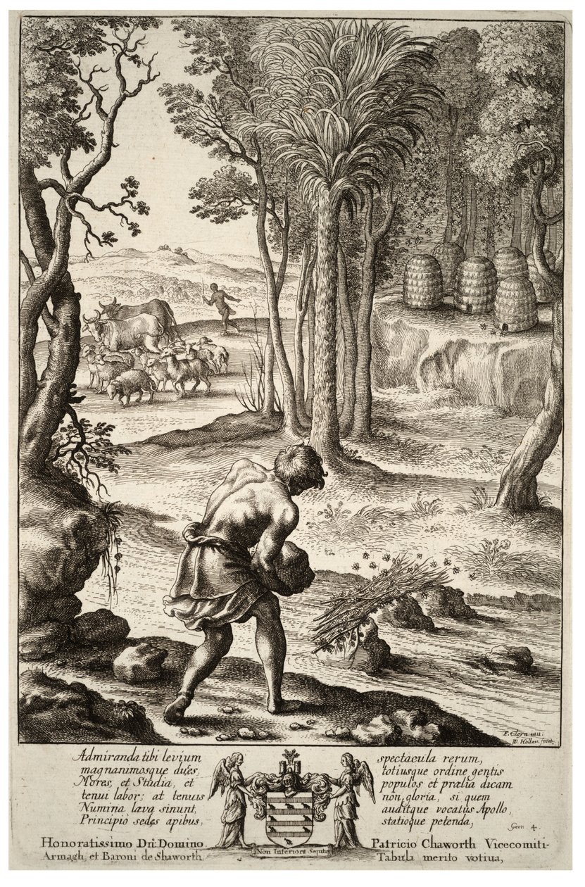 Hiving bees. State 1 av Wenceslaus Hollar