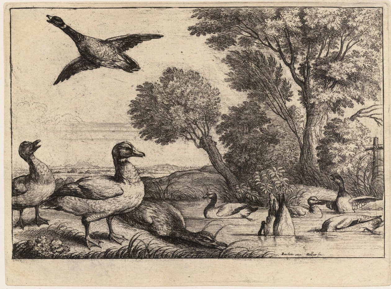Nio ankor. Stat 2 av Wenceslaus Hollar
