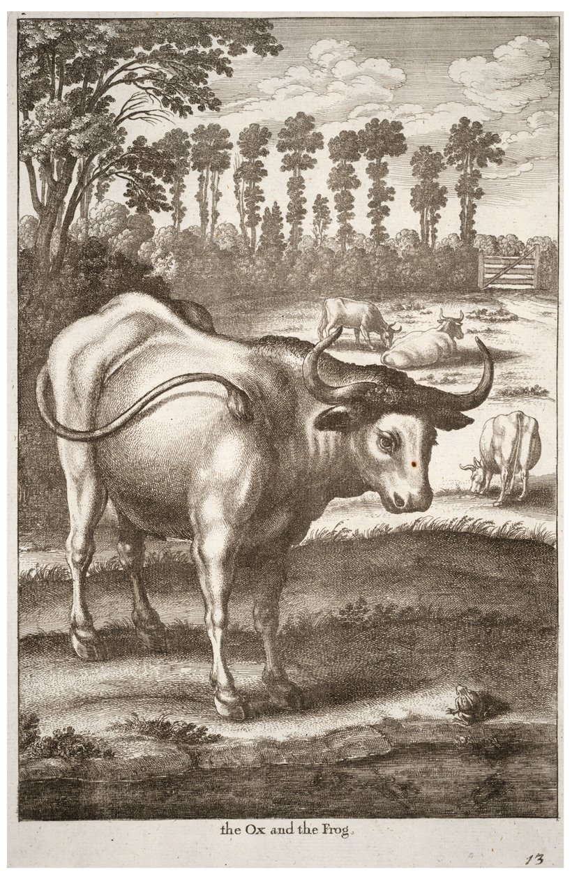 Ox och groda av Wenceslaus Hollar