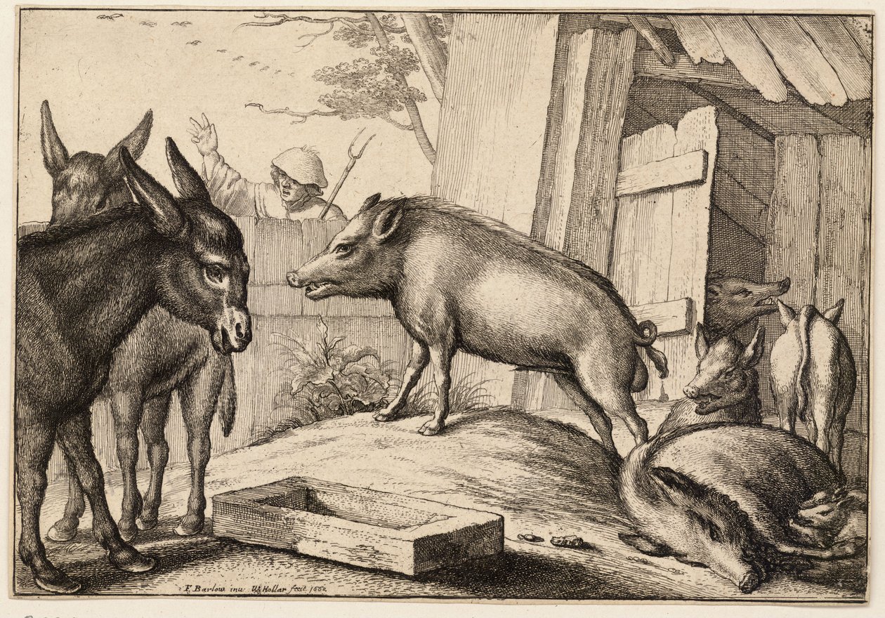 Grisar och åsnor av Wenceslaus Hollar