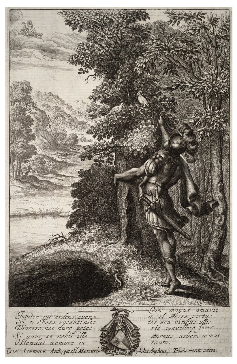 The golden bough. State 1 av Wenceslaus Hollar
