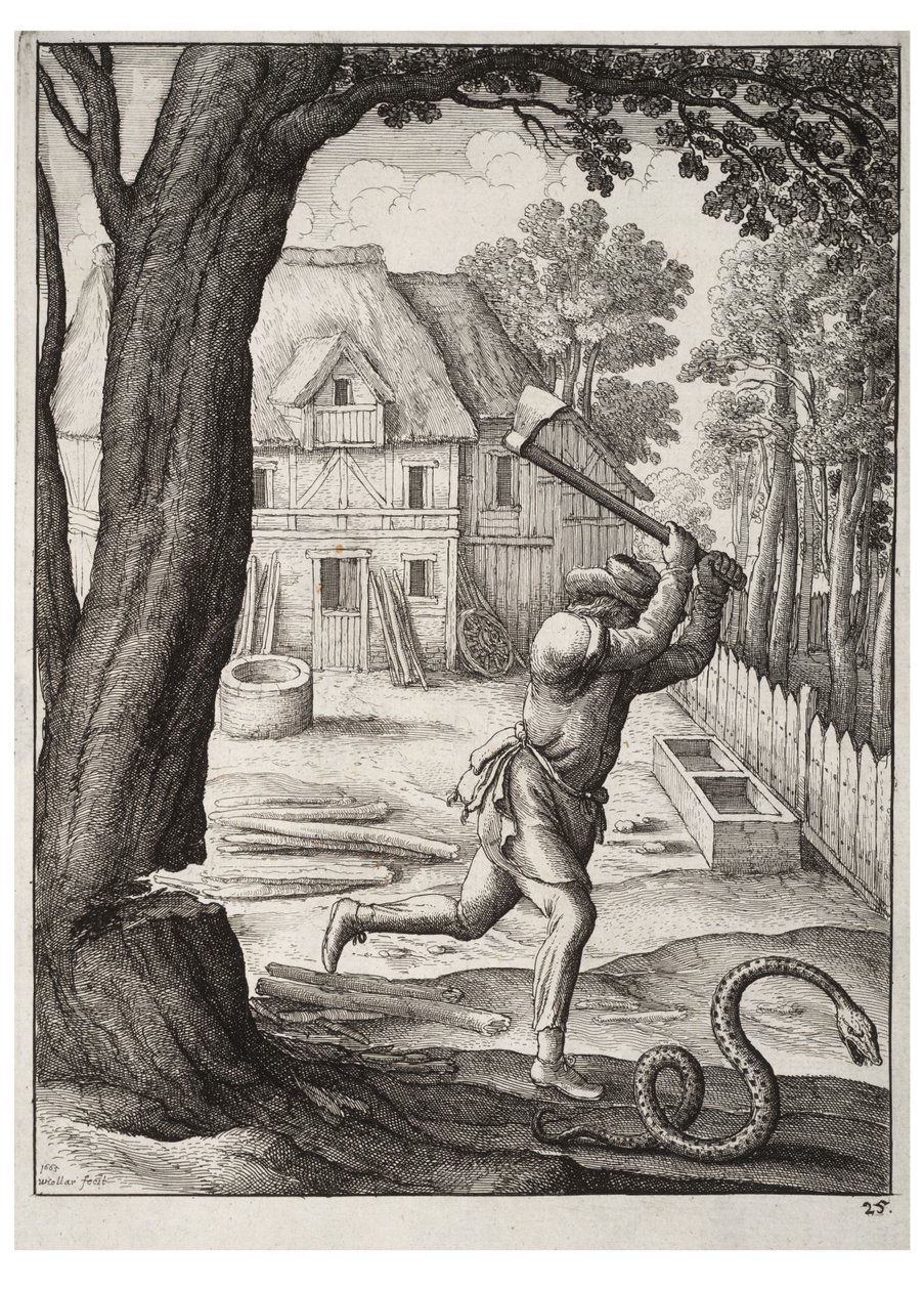 The peasant and the snake av Wenceslaus Hollar