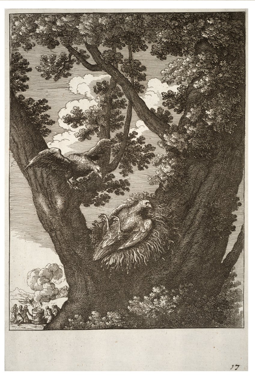 The sick kite and its mother av Wenceslaus Hollar