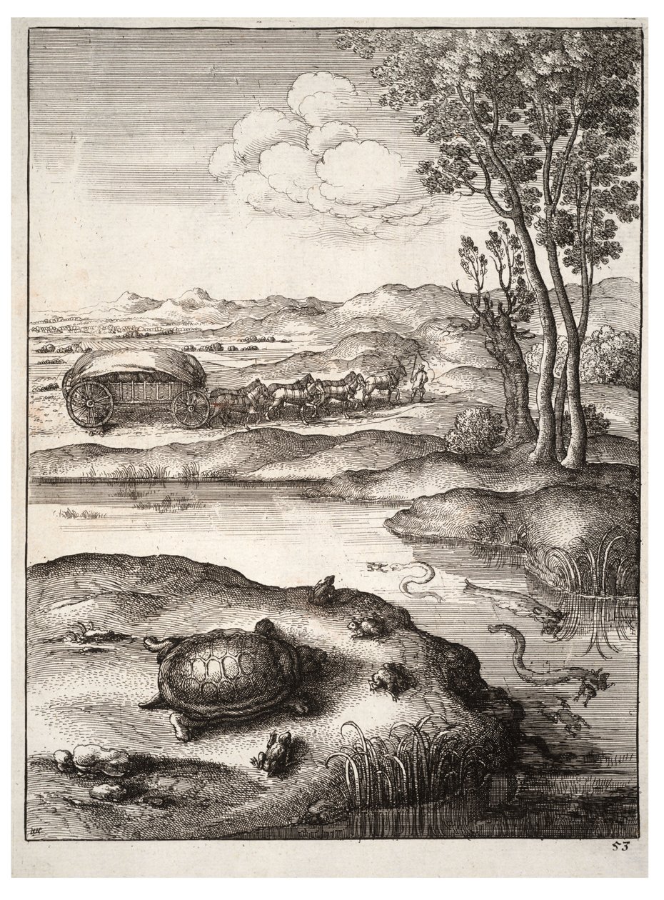 The tortoise and the frogs av Wenceslaus Hollar
