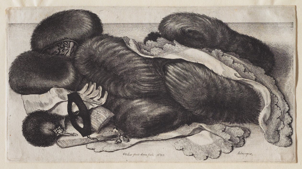 En grupp muffar av Wenceslaus Hollar