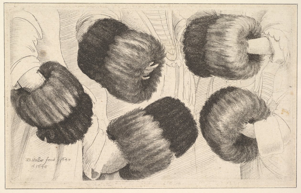 En muff i fem vyer, 1645-46. av Wenceslaus Hollar