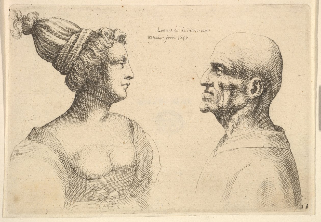 En hona med hår bundet bakåt och en skallig hane vänd mot varandra, 1645. av Wenceslaus Hollar
