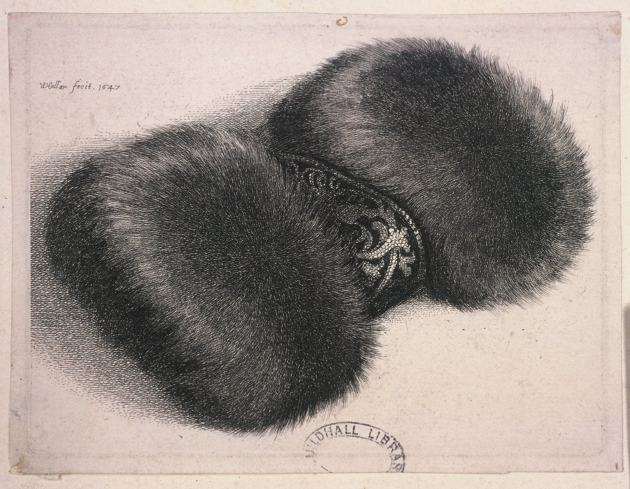 En stor muff med ett band av brokad, 1647 av Wenceslaus Hollar