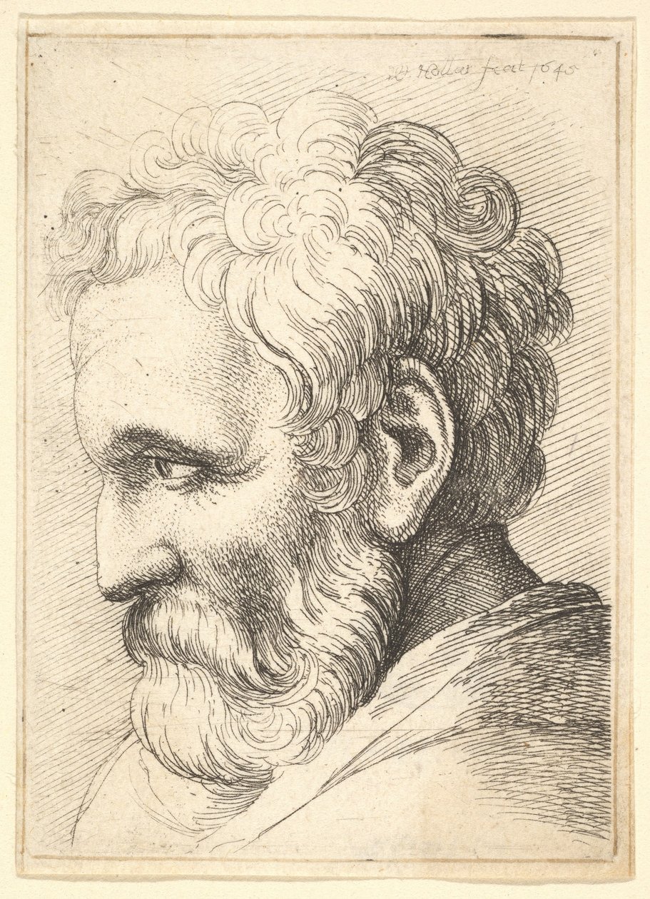 Skäggig gubbe, 1645. av Wenceslaus Hollar