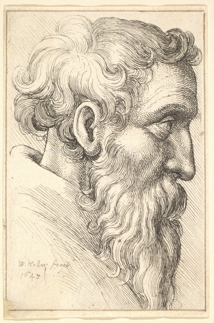 Skäggig gammal man i profil åt höger av Wenceslaus Hollar