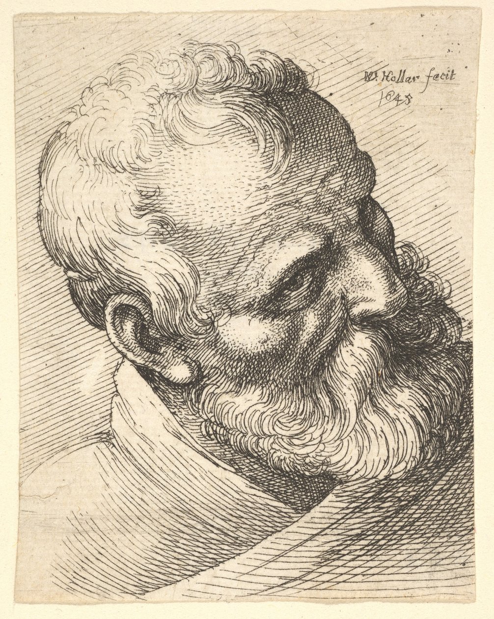 Skäggig gubbe med lutande huvud, 1645. av Wenceslaus Hollar