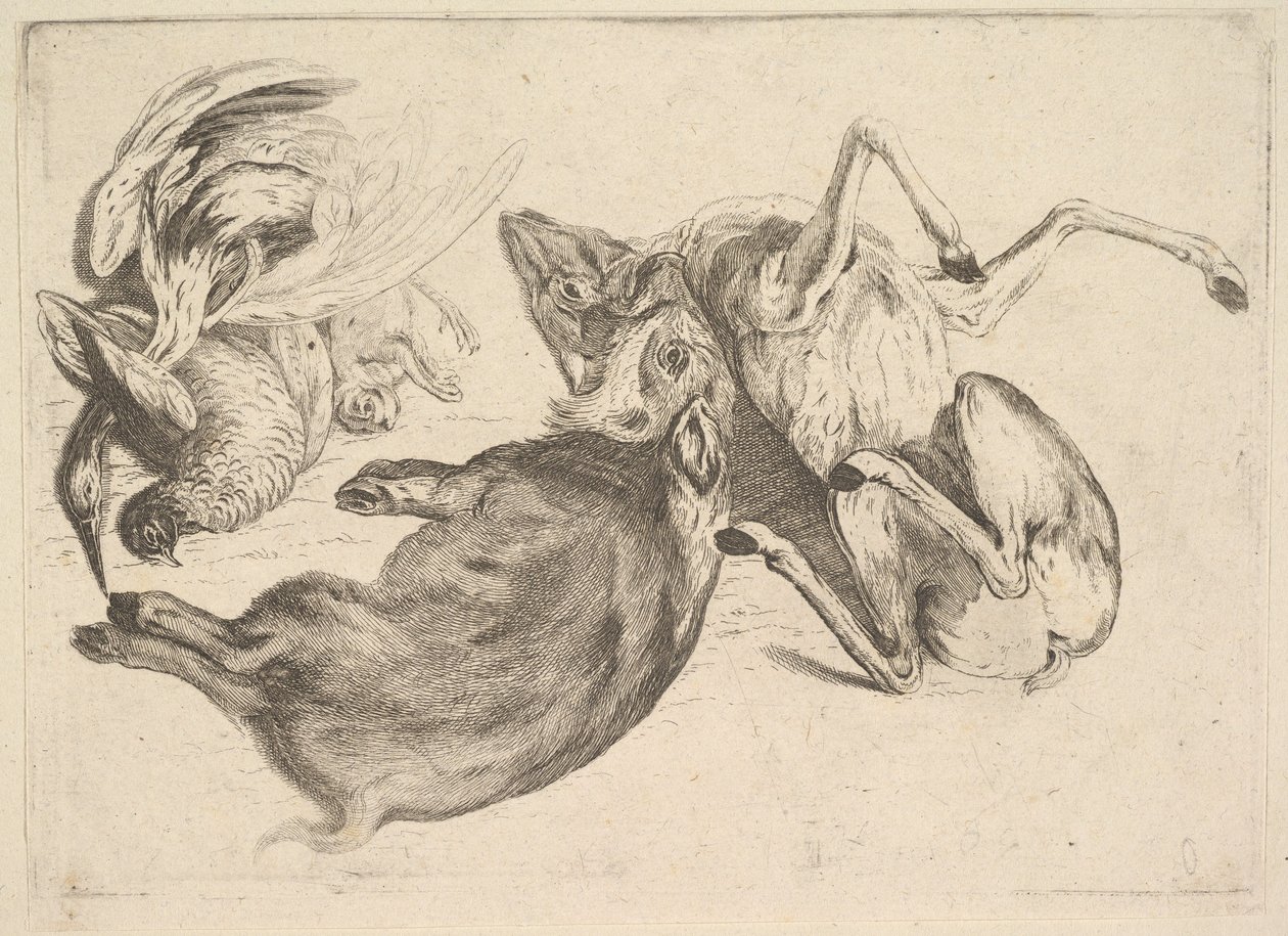 Galt, rådjur, häger och annat vilt, 1625-77. av Wenceslaus Hollar