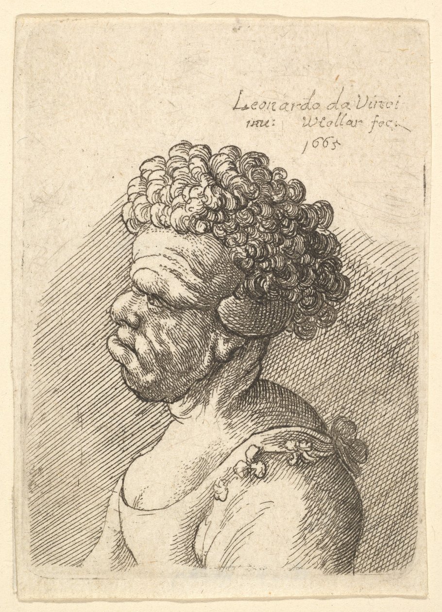 Byst av en missbildad kvinna med lockigt hår i profil till vänster, 1665. av Wenceslaus Hollar