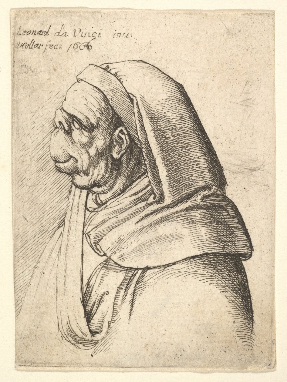 Byst av en man med liten uppvikt näsa och mycket hög överläpp, bär huva, i profil..., 1666. av Wenceslaus Hollar