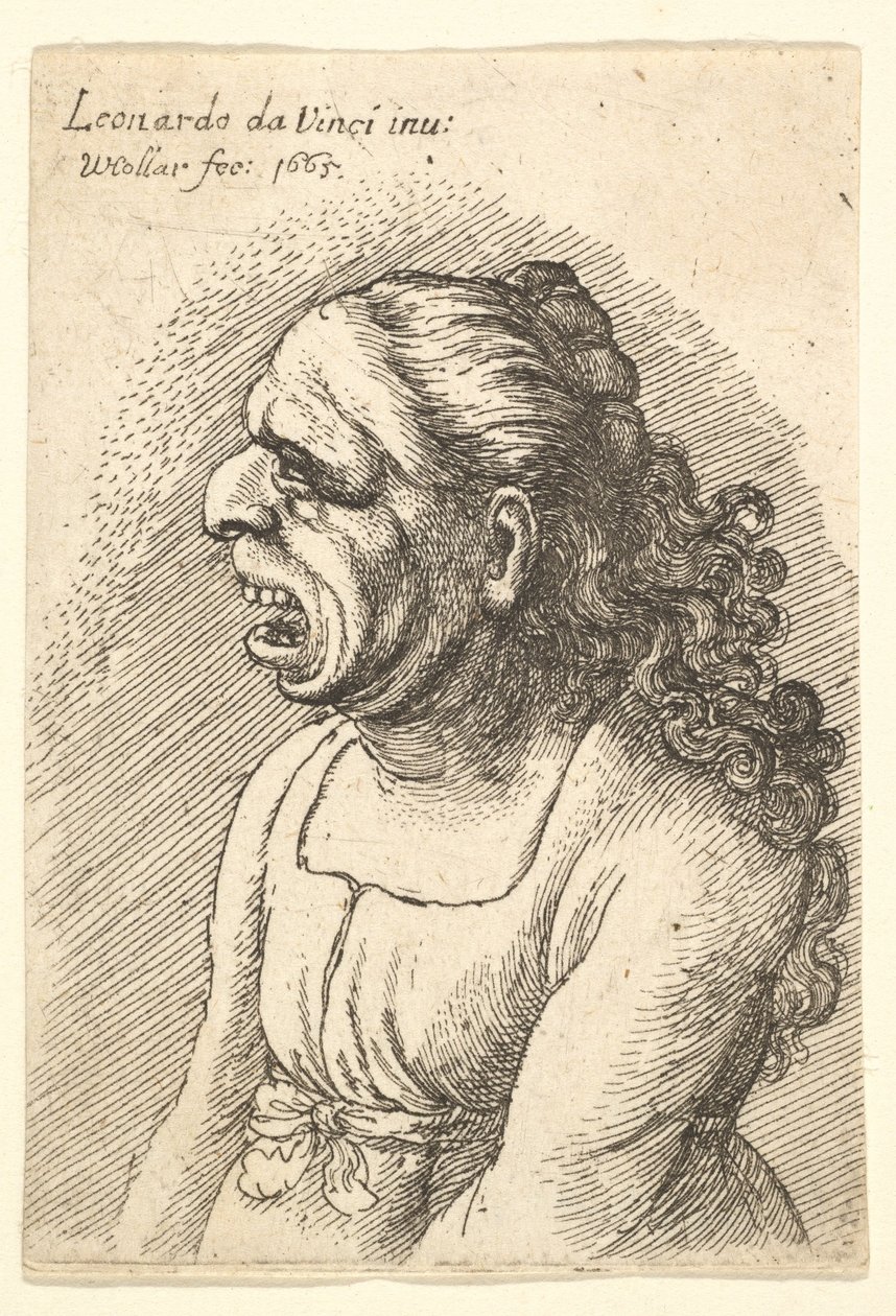 Byst av kvinna med vidöppen mun och långt lockigt hår som faller över hennes axlar, klädd i..., 1665. av Wenceslaus Hollar