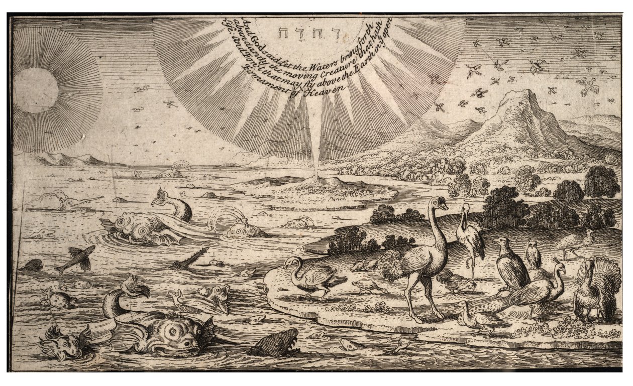 Skapande av fåglar och fiskar. Tillstånd 1 av Wenceslaus Hollar