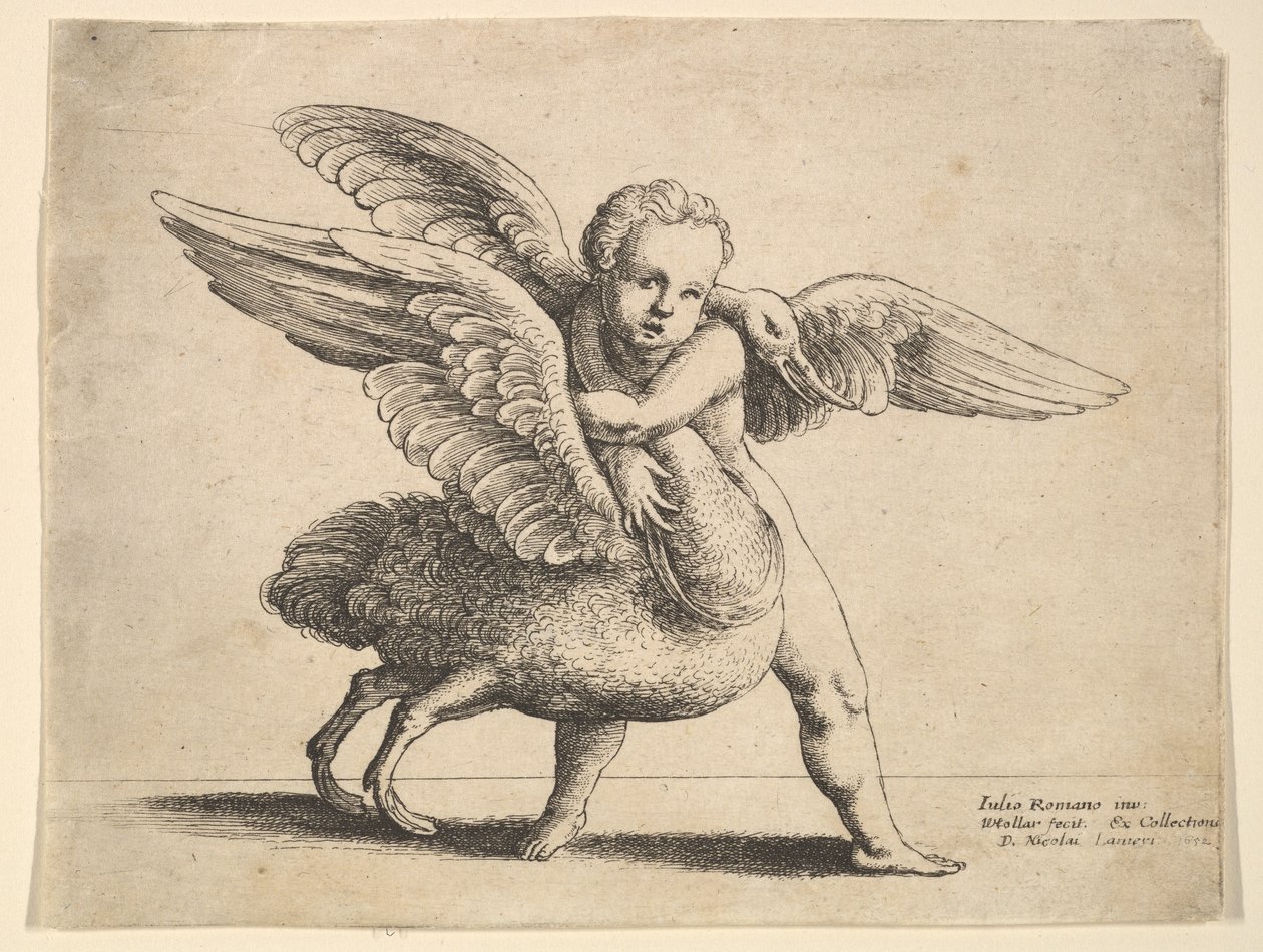 Amor och svanen, 1652. av Wenceslaus Hollar