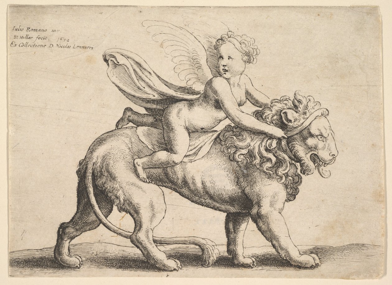 Amor på ett lejon, 1652. av Wenceslaus Hollar