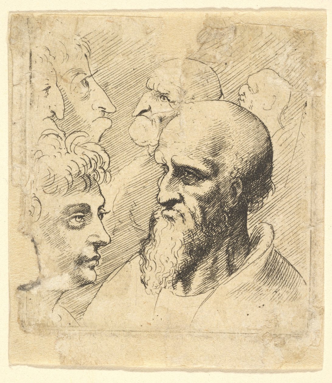 Olika tester, 1645. av Wenceslaus Hollar