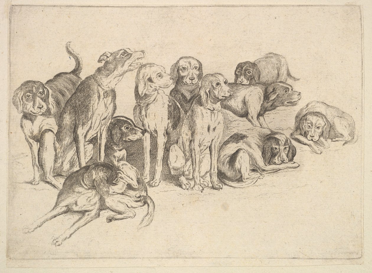 Elva jakthundar av Wenceslaus Hollar