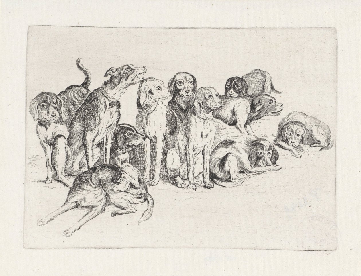 Elva jakthundar av Wenceslaus Hollar