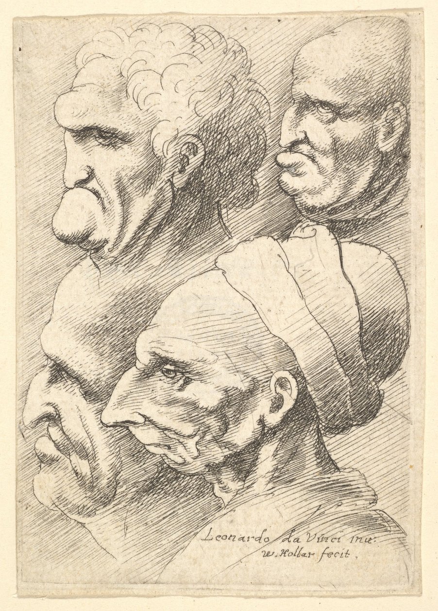 Fyra groteska huvuden i profil till vänster, 1625-77. av Wenceslaus Hollar