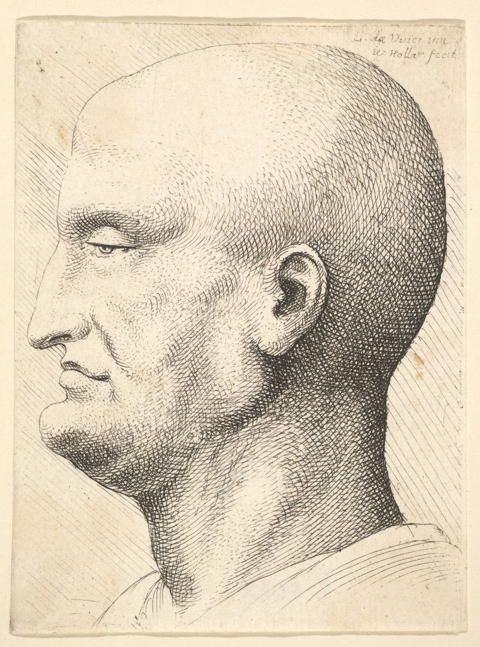 Huvudet på en skallig man i profil till vänster, 1644-52. av Wenceslaus Hollar