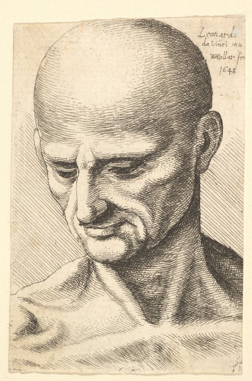 Huvudet på en flintskallig, senig man tittar nedåt, 1648. av Wenceslaus Hollar