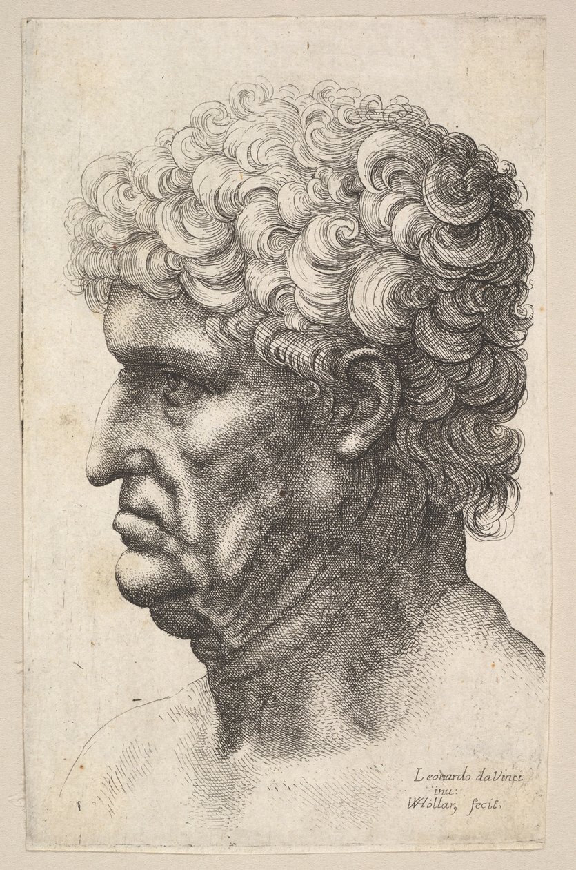 Huvud av en man med tjockt lockigt hår i profil till vänster, 1640-49. av Wenceslaus Hollar